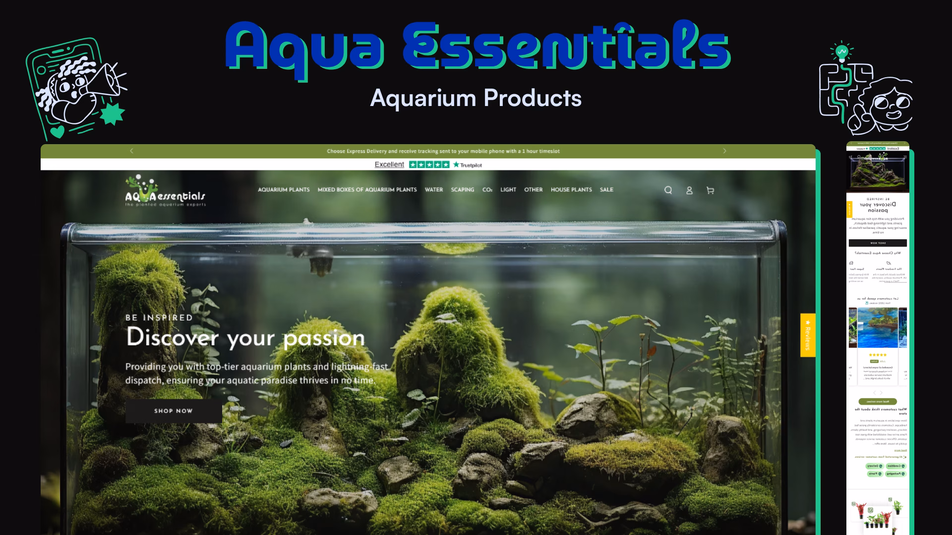 A selection of high-quality aquarium plants offered by Aqua Essentials, showcasing various species and sizes.
