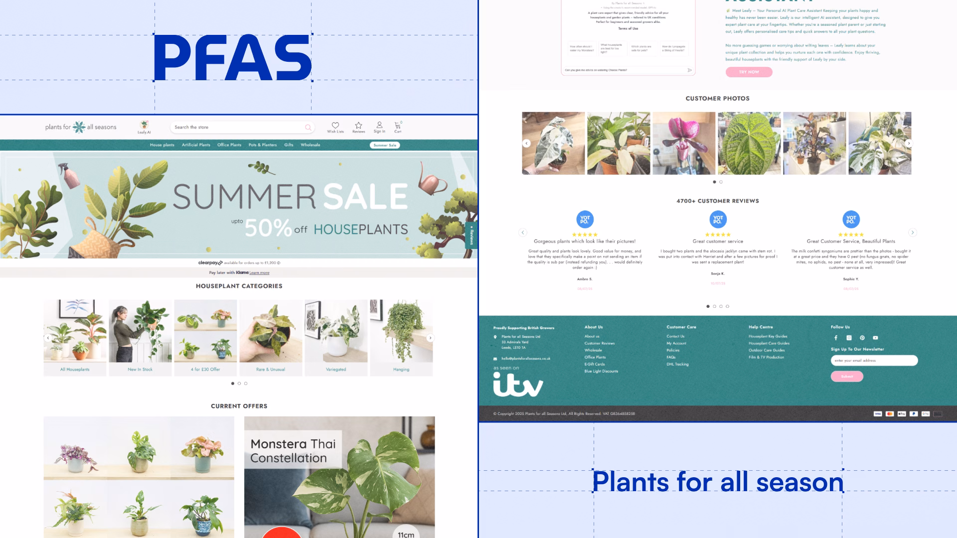 A curated selection of houseplants offered by Plants for All Seasons, showcasing various species and sizes.
